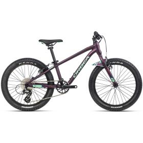 Orbea MX 20 Team