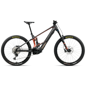Orbea WILD/M M10