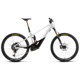 Orbea WILD/M M-TEAM