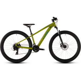 Cube Acid 260 Disc lizard´n´blue